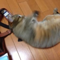 寝返り