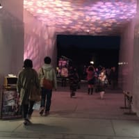 エクストリーム和服～京都伝統産業の日～