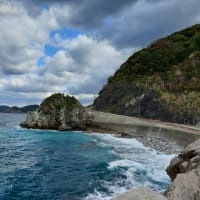 「夫婦でカゴ釣り　悪天...」