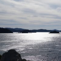 白浜旅行（3）