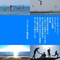 冬の検見川の浜
