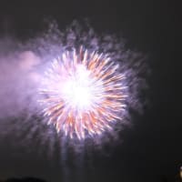 渡瀬川花火大会