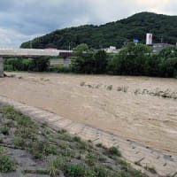 大雨一過後の濁流を見る