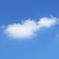 テレビを見る実家猫