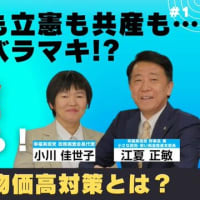 【参院選】自民も立憲も共産も…全部バラマキ!? 各党の「給付金攻勢」を斬る！本当に必要な物価高対策とは？（江夏正敏幹事長×小川 佳世子政調会長代理）【言論チャンネル】
