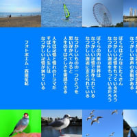 なつかしい記憶