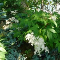 井頭公園の花ちょう遊館３