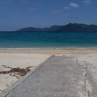 奄美大島にて