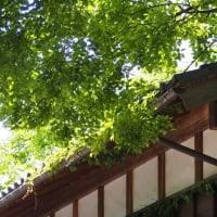 喜んでもらえるお酒を、