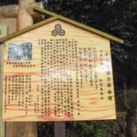 小谷城懐古 in 滋賀県長浜市湖北町