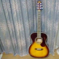 私のギター（＾ｕ＾）