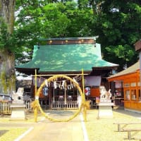 八坂神社で茅の輪くぐり