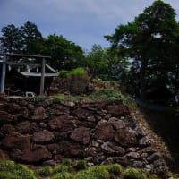 佐野市「唐沢山神社」風鈴参道を記録してきた。