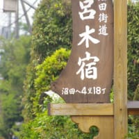 長い ”旅” する蝶「アサギマダラ」が 渡り寄る「 赤城自然園」の 小話