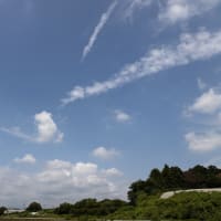 8月7日（水）　トレーニング田んぼの空