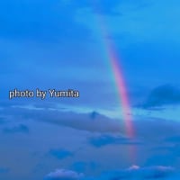　 深めのカミングアウト☆彡　 ~信じるｶﾅ？ 信じないｶﾅ？~　　