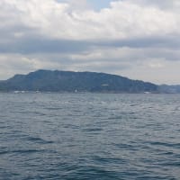 2025年8度目の虎狩り（2025年4月6日）