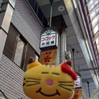 ネコますちゃんとますスタくん３　in大阪