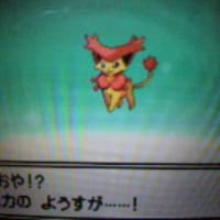 いろちがい エネコロロ やま うみ いろちがい エネコロロ やま うみ