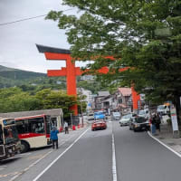 箱根目指して（2025東海道no3)