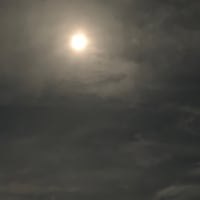 月がきれいですな