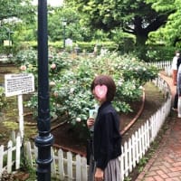 母の日の思いがけない贈り物
