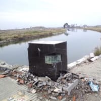 「閖上（ゆりあげ）」に魚市場が再開（再会）しました。