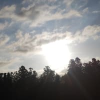 最高のミーティング