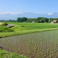 20250629の天気＠八ヶ岳
