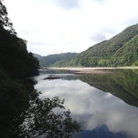 ６月２９日（木）のつぶやき（リブログ）