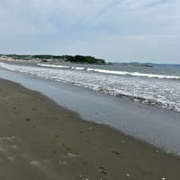 江ノ島から長谷寺へ