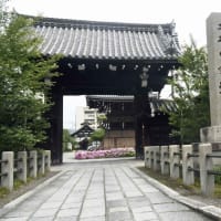 藤色の寺院（京都・妙蓮寺）