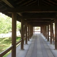 強いんじゃない