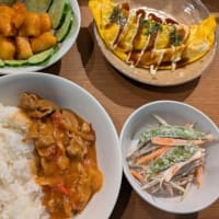 ハヤシライスの晩御飯
