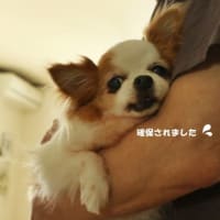 引き続き…困ってます😂