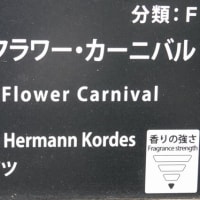 ルビーフラワーカーニバル〈Ruby Flower Carnival　バラ〉　