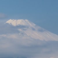 ハイシニア3兄弟旅