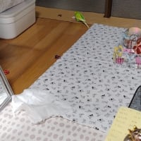 おかさんは、ちょっと切ない・・
