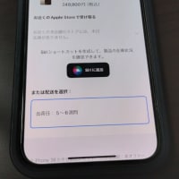 iPhone 16 Pro Max 争奪戦に敗北