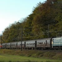 最初で最後のEL、DLぐんま　復路