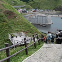 利尻島・礼文島の旅（6）