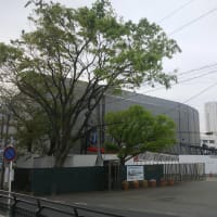 OB会役員会記録