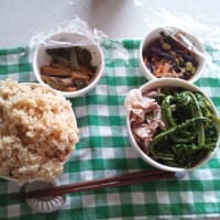 みんな違ってみんないい 相田みつを 夢をかなえるゾウ に憧れて