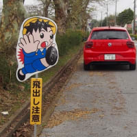 滋賀の旅行紀