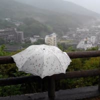 散歩で里山へ行けば・・・山あり谷あり