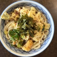 讃岐うどんかわはら＠真備町「イカ入りぶっかけうどん（冷）」
