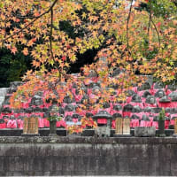  2ヶ月間の日本滞在を終えて　