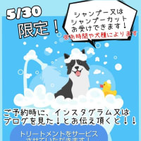 美容室からのお知らせ✁