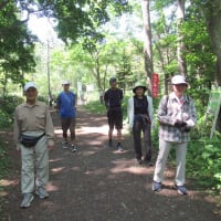 第3回走ろう会例会