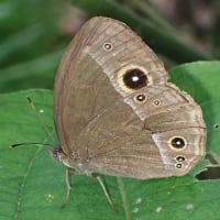 6月二回目の教室　虹色に輝く